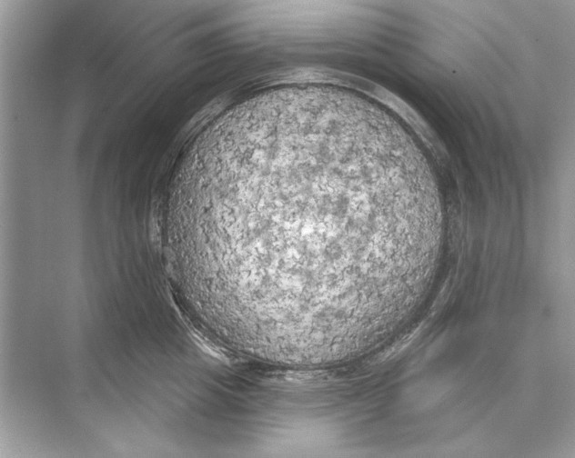 X0000074300857200609222333