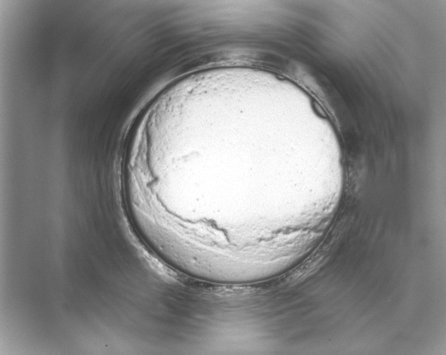 X0000074300859200609222333