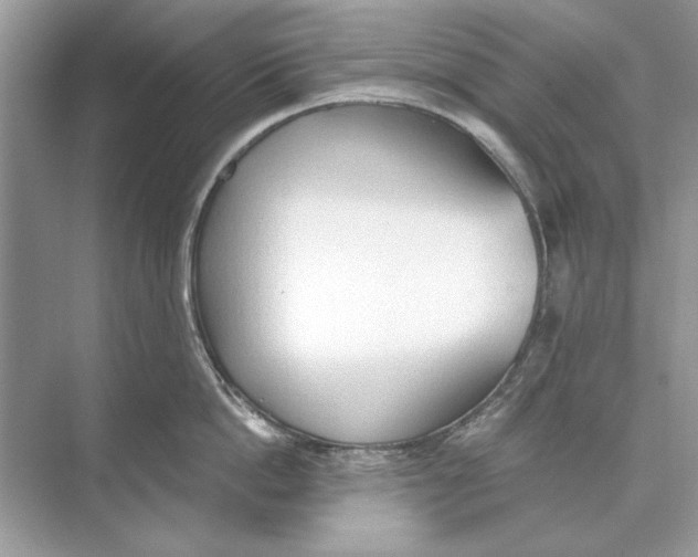 X0000074300862200609222333