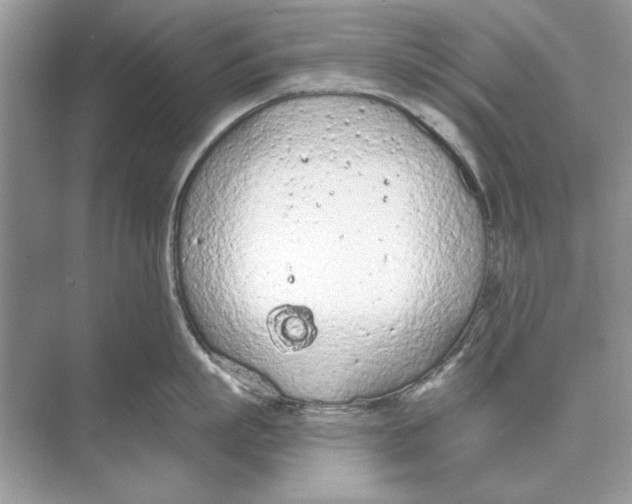 X0000074300863200609222333