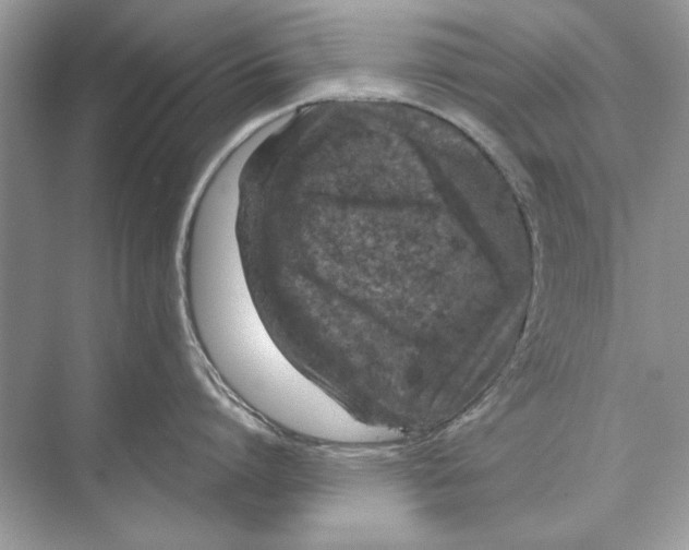 X0000074300864200609222333