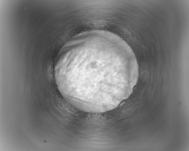 X0000074300866200609222332