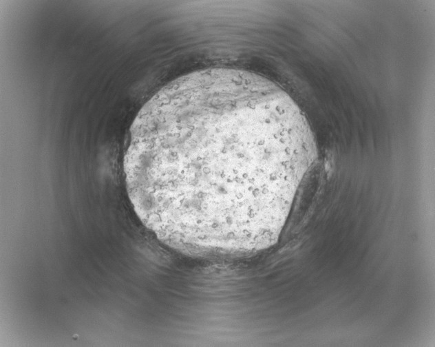 X0000074300867200609222332