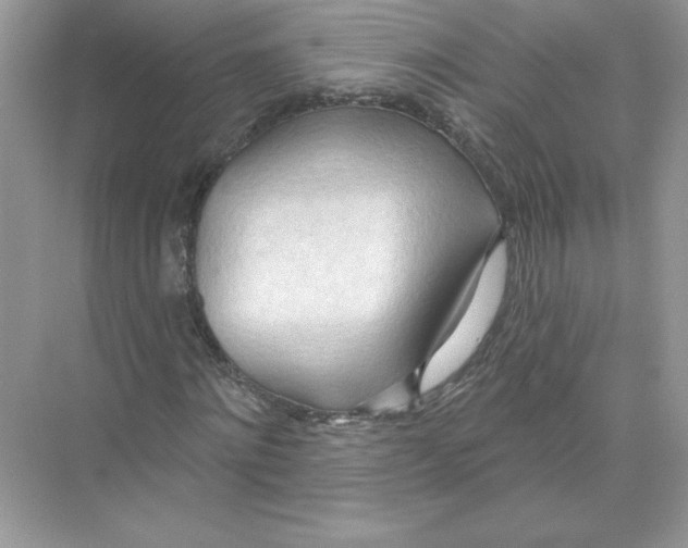 X0000074300868200609222332