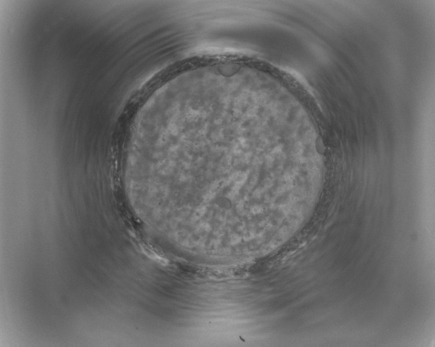 X0000074300871200609222332