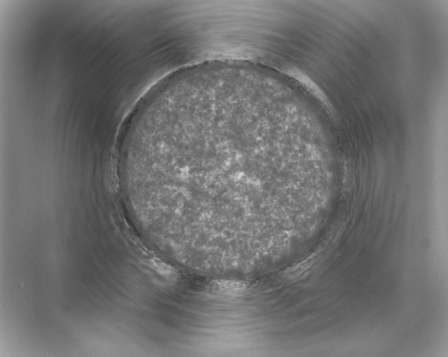 X0000074300878200609222332