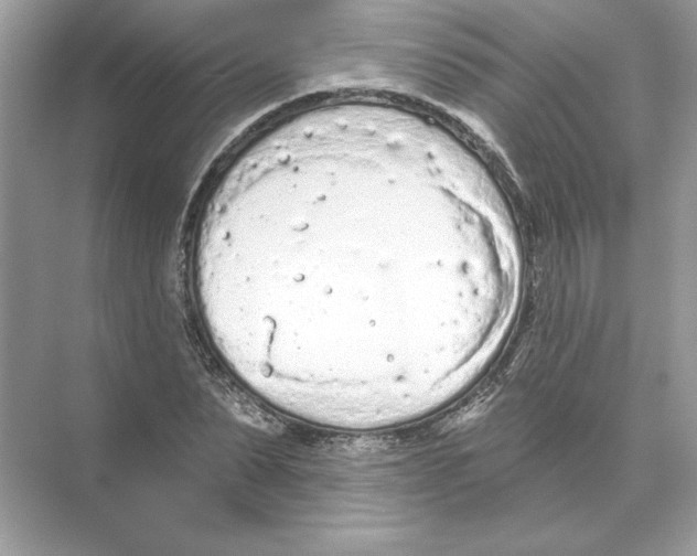 X0000074300879200609222332