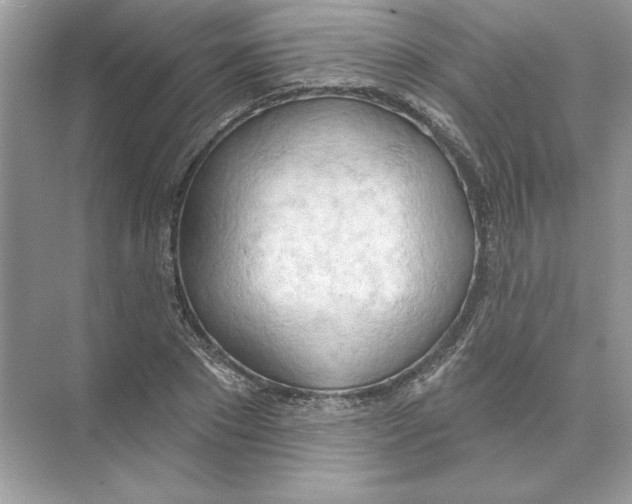 X0000074300881200609222332