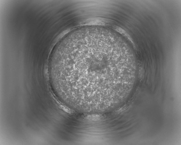 X0000074300882200609222332