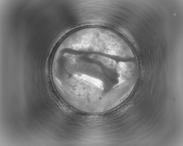 X0000074300883200609222332