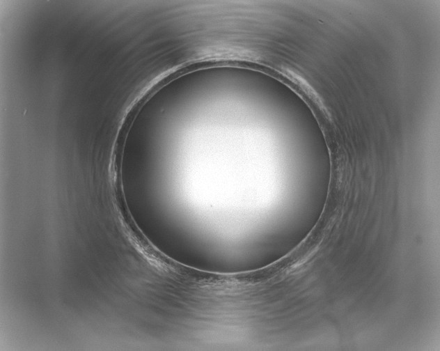 X0000074300885200609222332