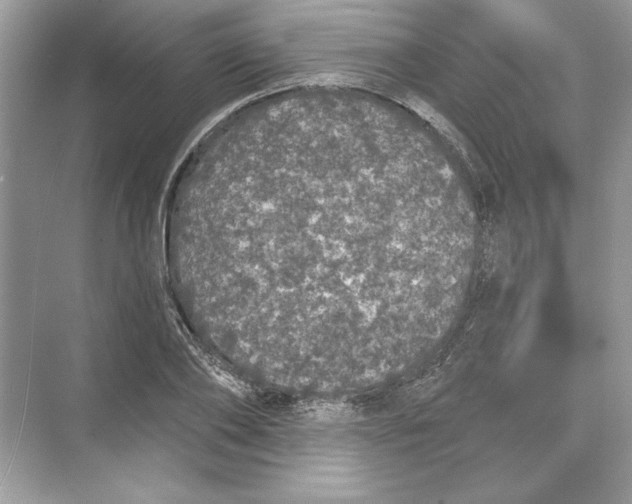 X0000074300886200609222332