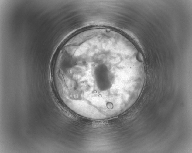 X0000074300887200609222332