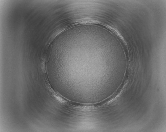 X0000074300889200609222332