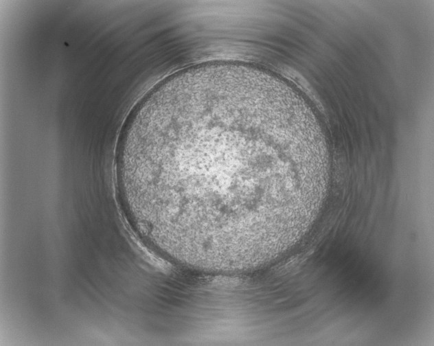 X0000074300890200609222332