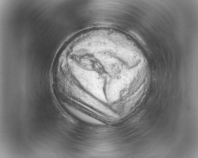 X0000074300891200609222332