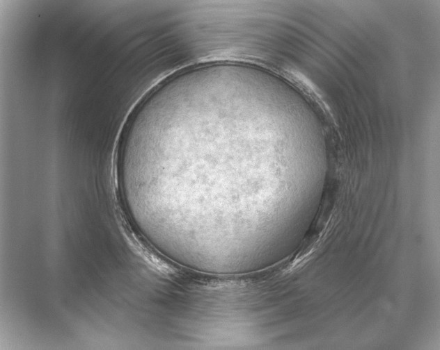 X0000074300892200609222332