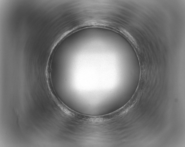 X0000074300893200609222332