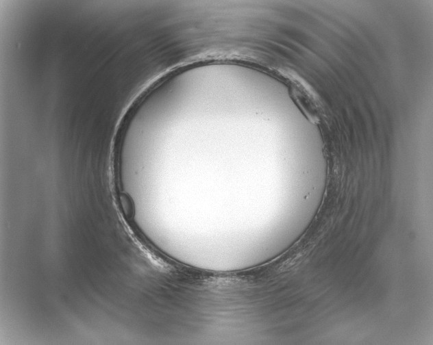 X0000074300894200609222332