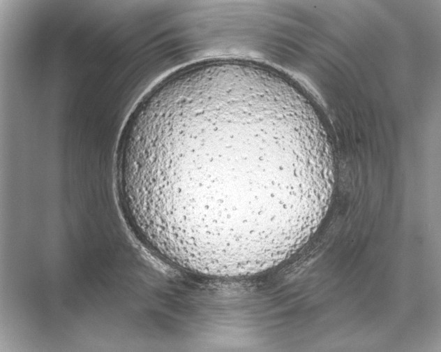 X0000074300895200609222332