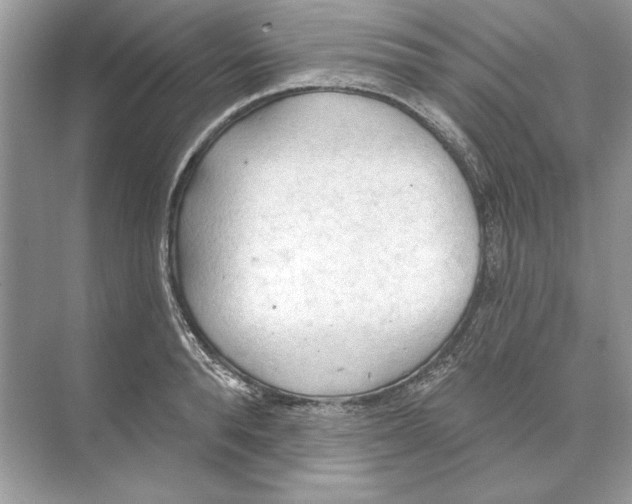 X0000074300896200609222332