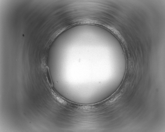 X0000074300897200609222332