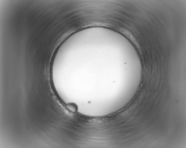 X0000074300898200609222332