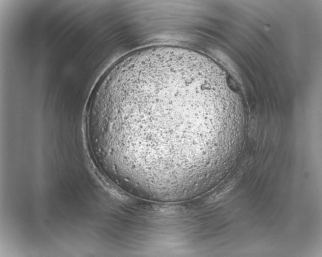 X0000074300899200609222332