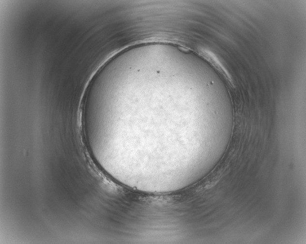 X0000074300900200609222332