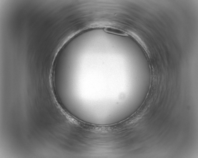 X0000074300901200609222332