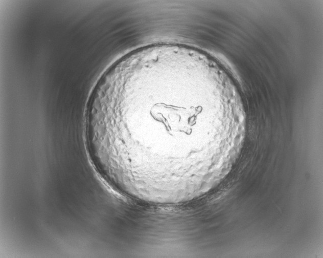 X0000074300903200609222332