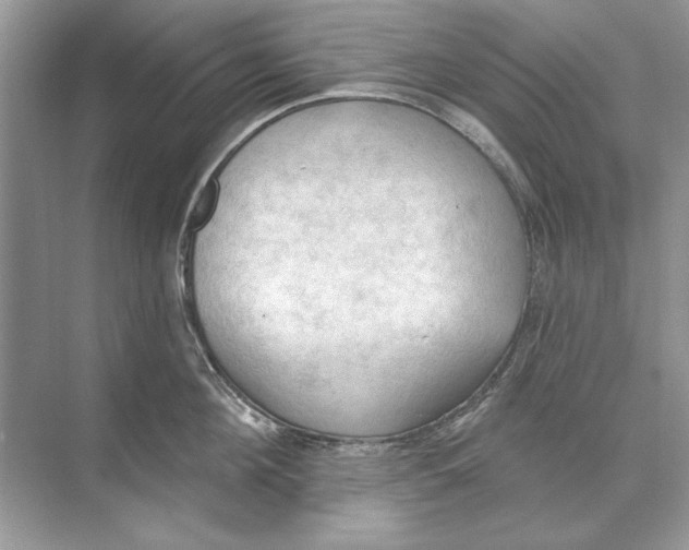 X0000074300908200609222332