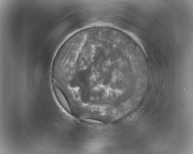 X0000074300911200609222331