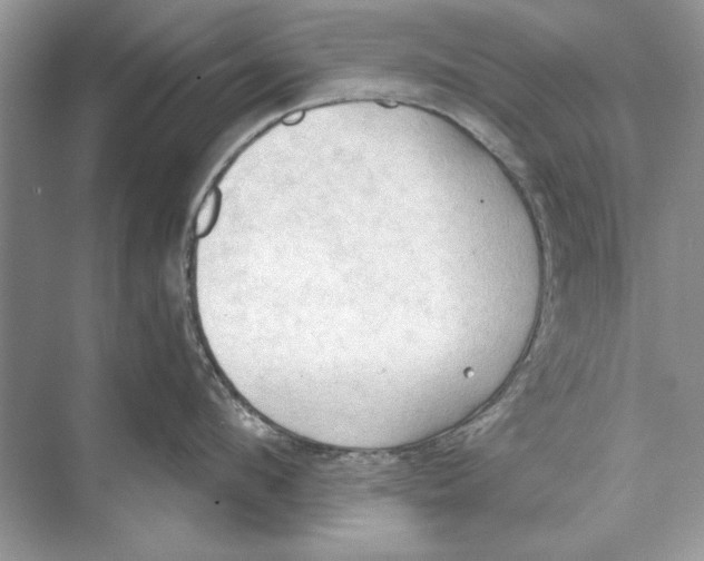 X0000074300912200609222331