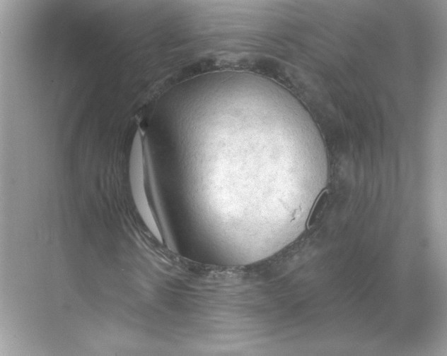 X0000074300914200609222331