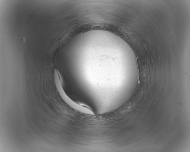 X0000074300916200609222331