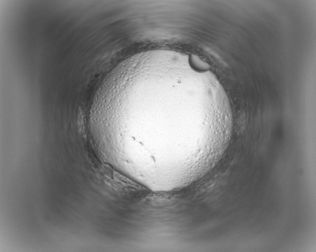 X0000074300917200609222331