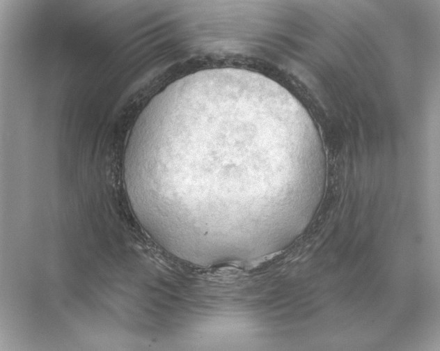 X0000074300919200609222331