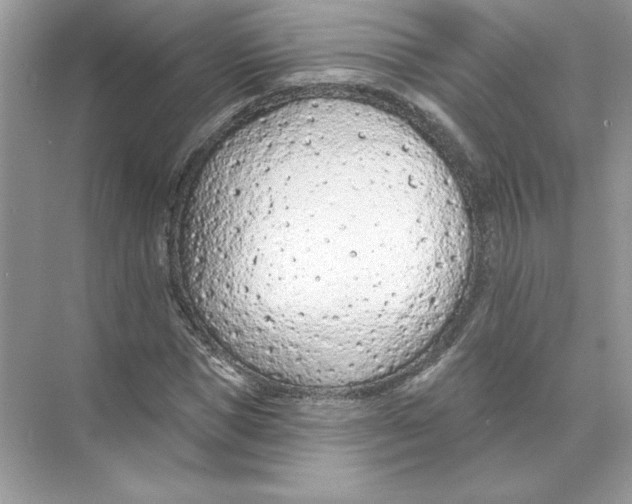 X0000074300921200609222331