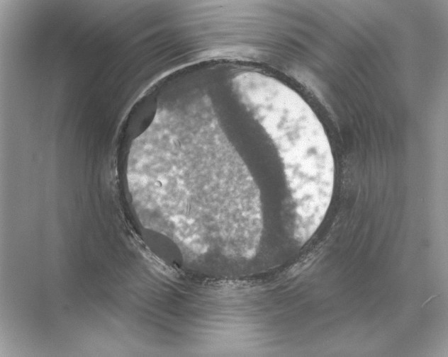 X0000074300923200609222331