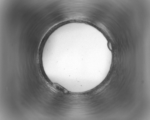 X0000074300924200609222331