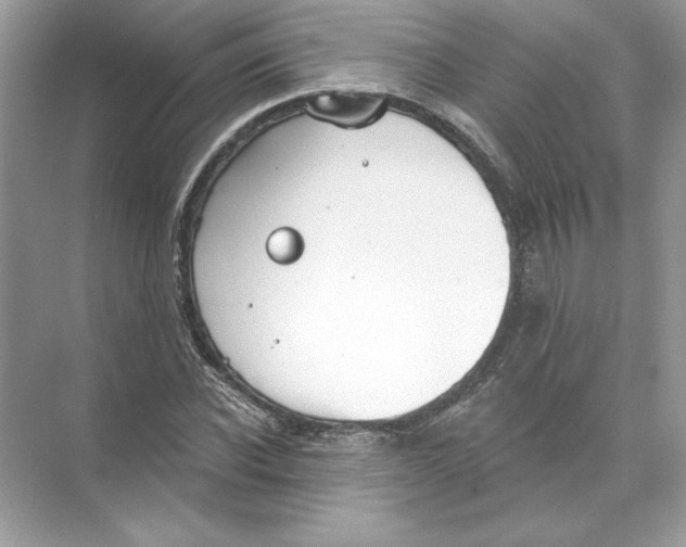 X0000074300926200609222331