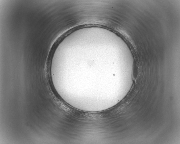 X0000074300928200609222331