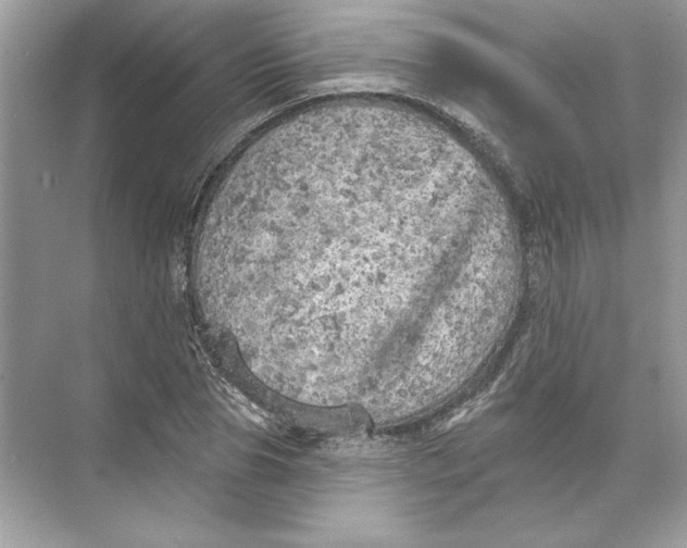 X0000074300929200609222331