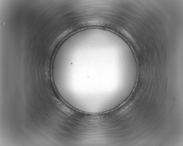 X0000074300930200609222331