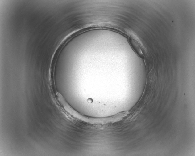 X0000074300932200609222331