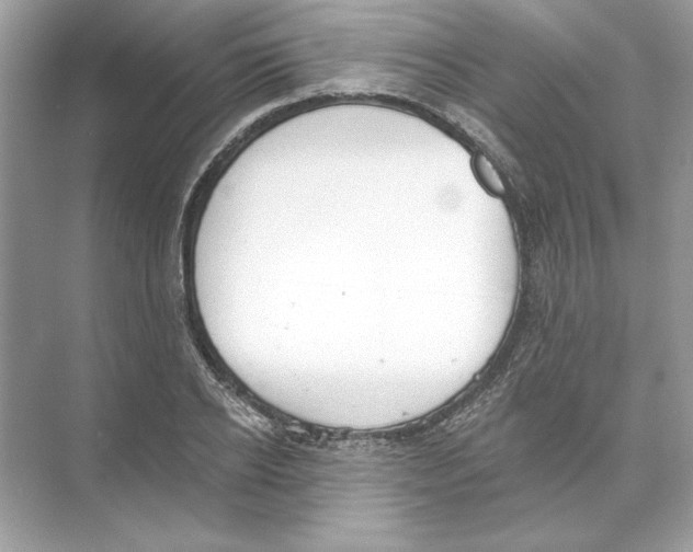 X0000074300934200609222331