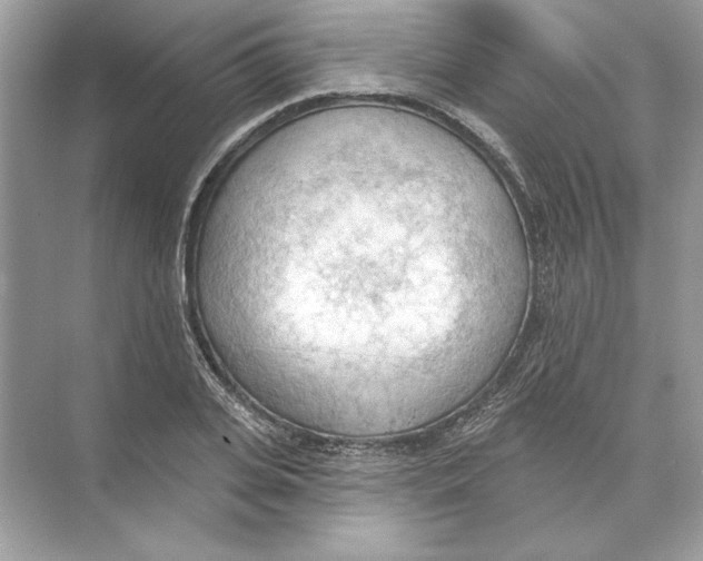 X0000074300935200609222331