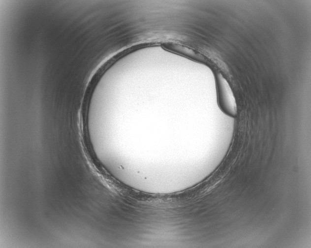 X0000074300936200609222331