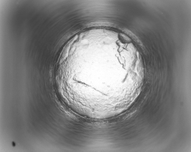 X0000074300937200609222331